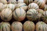 Nutrition Identifier project thumbnail