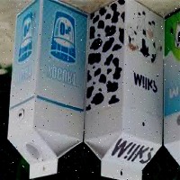 Dataset Image