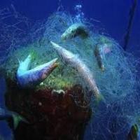 Underwater Trash yolov8 project thumbnail