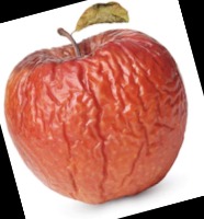 Fruit Defect Detection project thumbnail