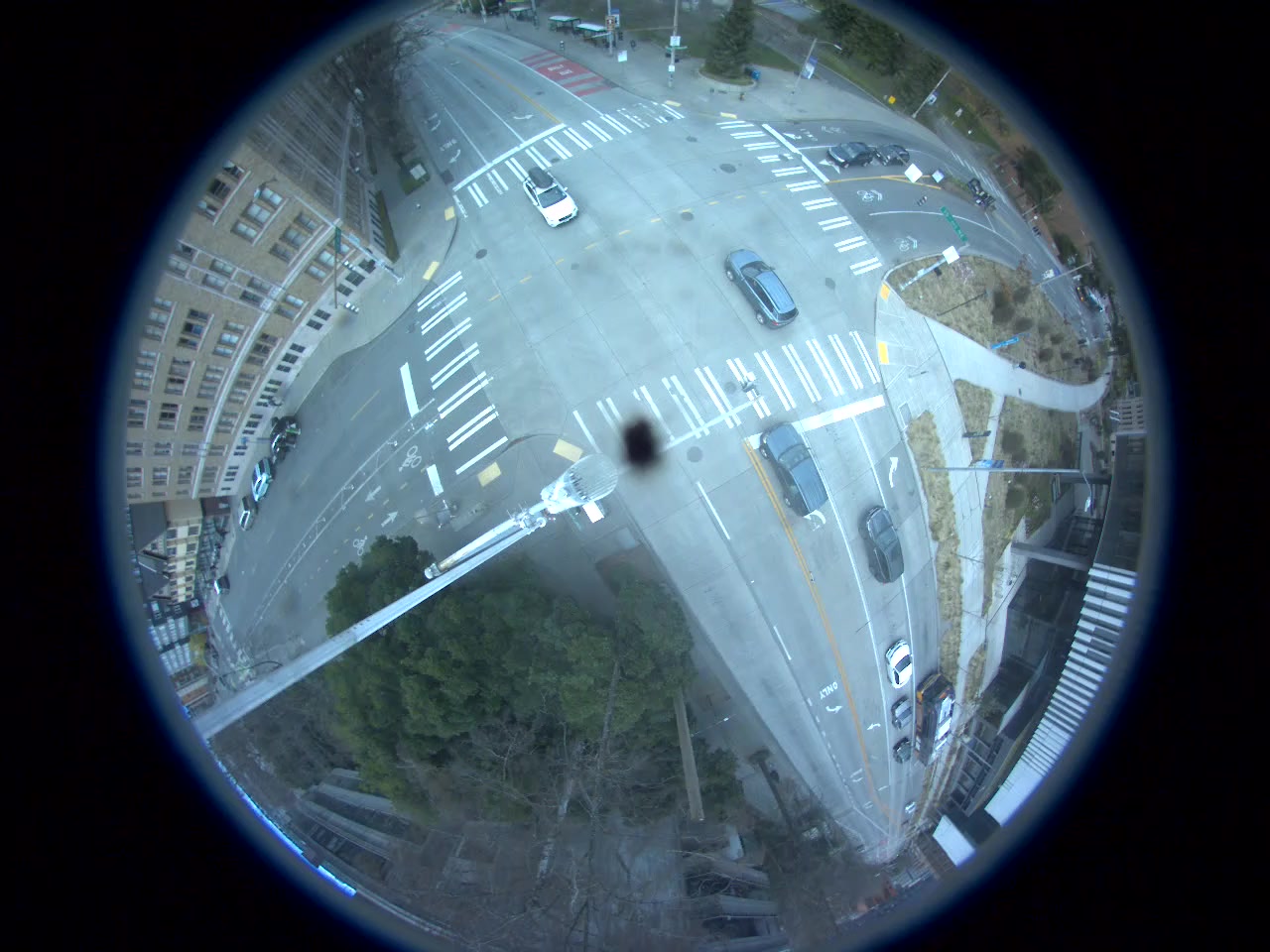 shared files dataset Object Detection Dataset by workspace 1