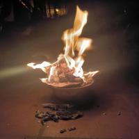 flame detection  project thumbnail