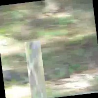 p project thumbnail