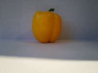 GarlicProject project thumbnail