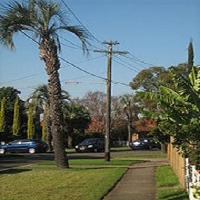 Utility Poles project thumbnail