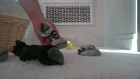 Socks project thumbnail