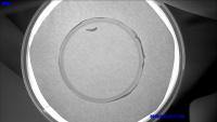 larva behavior project thumbnail