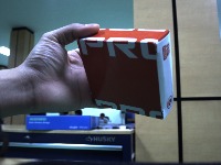 Dataset Image