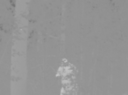 detr trial - Roboflow Universe