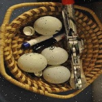 Dataset Image