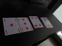Dataset Image