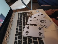 Dataset Image