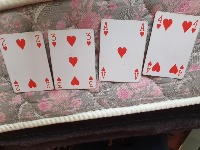Dataset Image