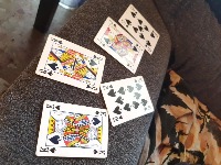 Dataset Image