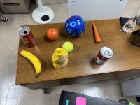 Dataset Image
