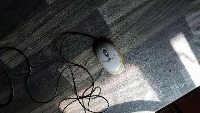 Dataset Image