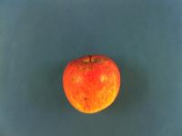 apple project thumbnail
