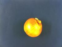 onion project thumbnail