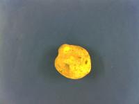 potato project thumbnail