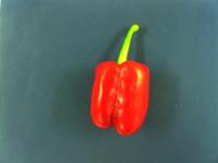 paprika project thumbnail