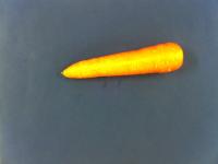 carrot project thumbnail