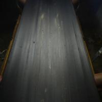 dataset-all project thumbnail