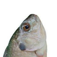 ikan project thumbnail