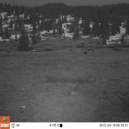 Tetrat Test1 Object Detection Dataset by Detection dobjet