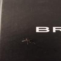 Mosquito and Non Mosquito project thumbnail