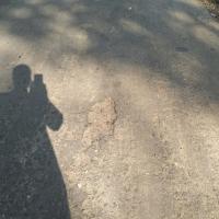 Road_Anomaly_Detection_using_instance_segmentation 2_last project thumbnail