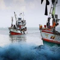 Haul Number-Boat Detection project thumbnail