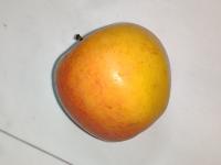 Fruits project thumbnail