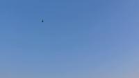 Sky-Drone-Detection MAX project thumbnail