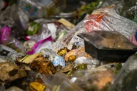 waste project thumbnail