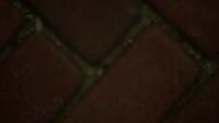 test_dataset_6 project thumbnail