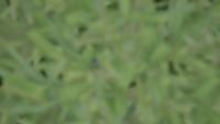 test_dataset_2 project thumbnail