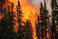 fire_detection project thumbnail