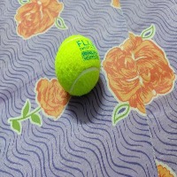 Tennis Ball Detection Object Detection Model by tennis