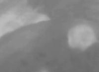 Rat Thermal Detection Non Filter project thumbnail