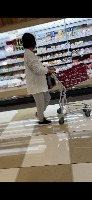Supermarket_Trolley_Detection project thumbnail