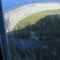 Bird detection project thumbnail