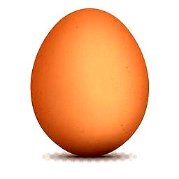 deteksi telor Object Detection Model by TelurDetection