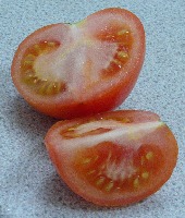 gambas y tomates project thumbnail