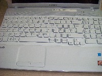 Dataset Image