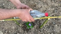bottle project thumbnail