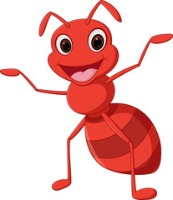 Ant project thumbnail