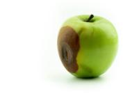 jinsu_apple project thumbnail