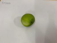 Green apple classification project thumbnail