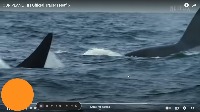our planet  project thumbnail