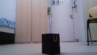 Dataset Image
